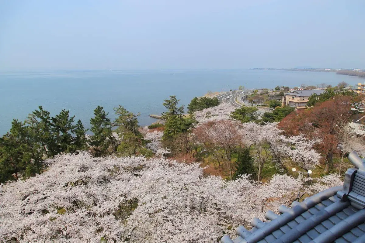 長浜城歴史博物館(写真 3)