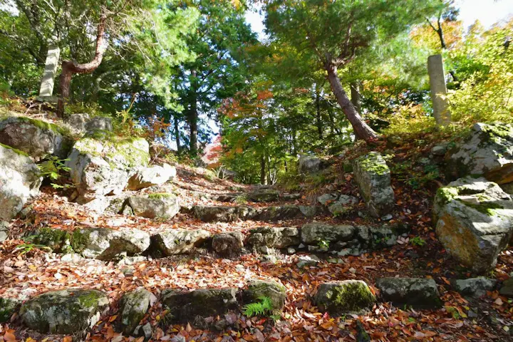 滋賀県内の歴史的な城跡の一つ
