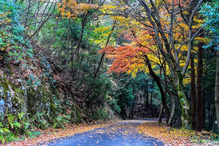 紅葉が美しい小谷城跡へ