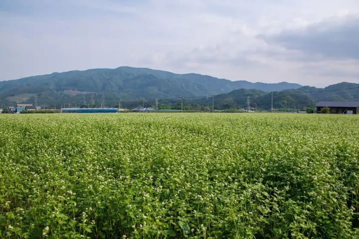 四季の農作業を体験できる農業体験ゾーン！