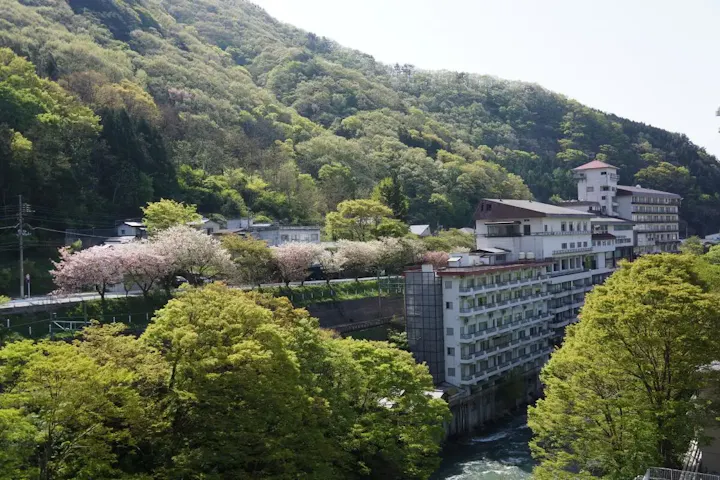 谷川岳南麓一帯に湧き出る温泉地!