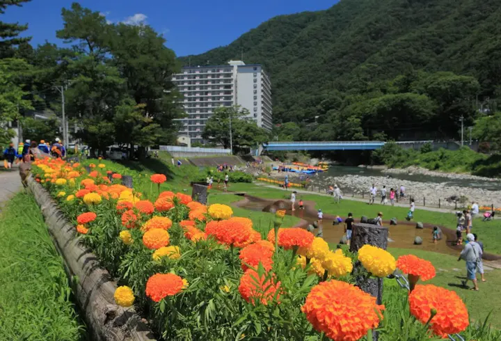 四季折々の景色を楽しめる温泉街!
