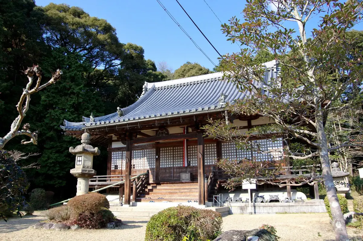 飯岡の茶畑
