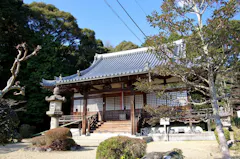 飯岡の茶畑