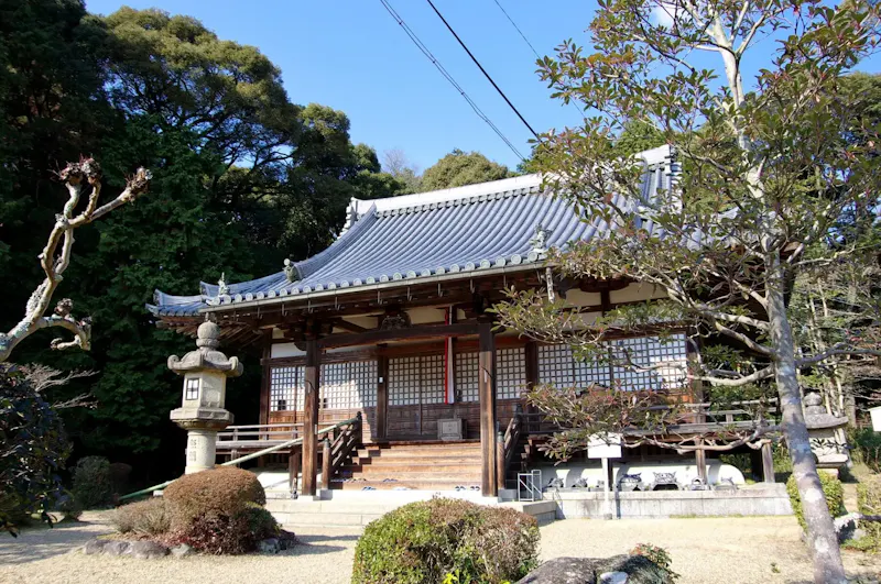 飯岡の茶畑