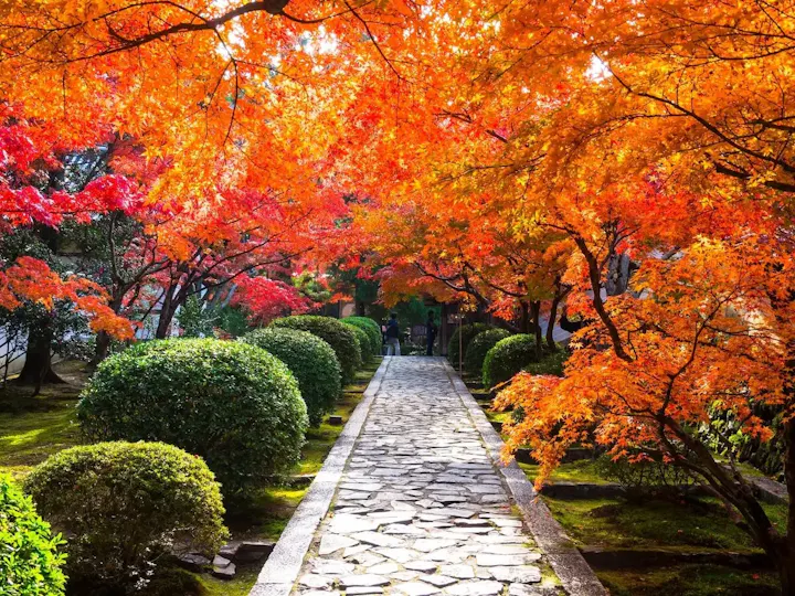 京田辺にある紅葉の名所
