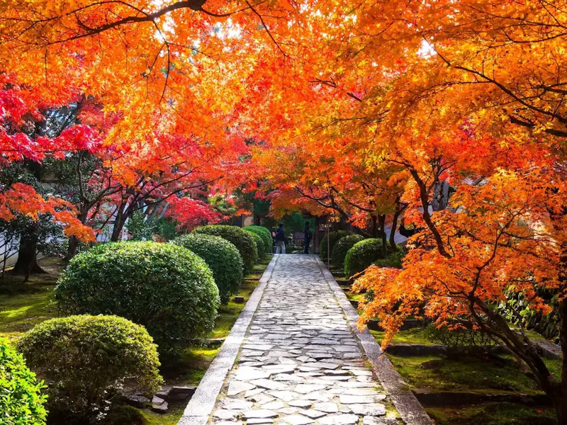 酬恩庵 一休寺