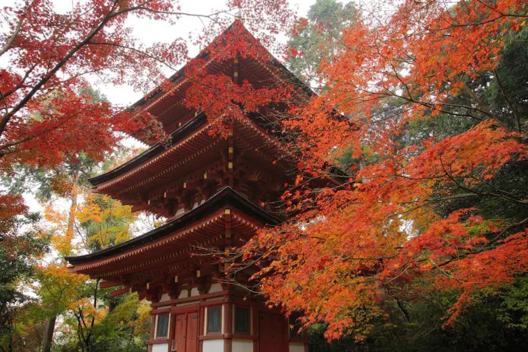 浄瑠璃寺
