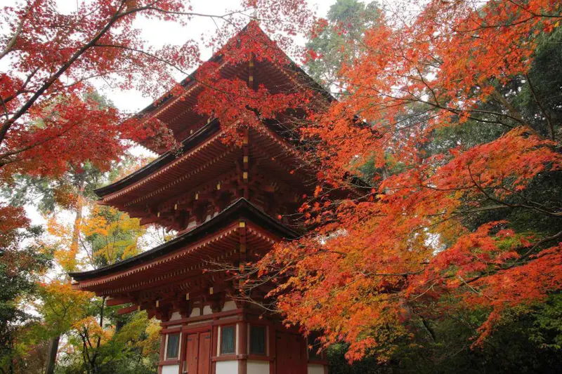 浄瑠璃寺