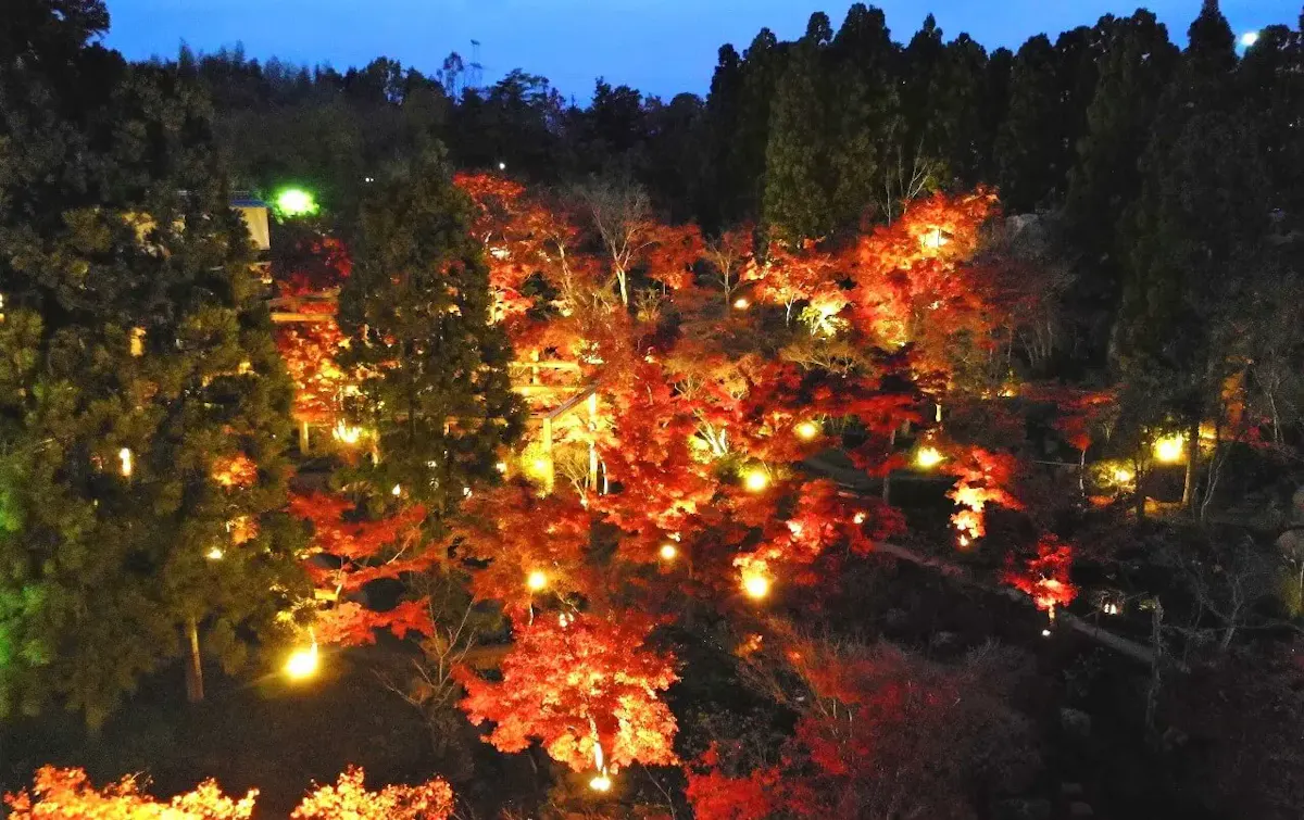 けいはんな記念公園(写真 4)