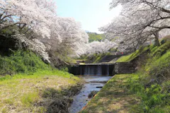 井手の玉川