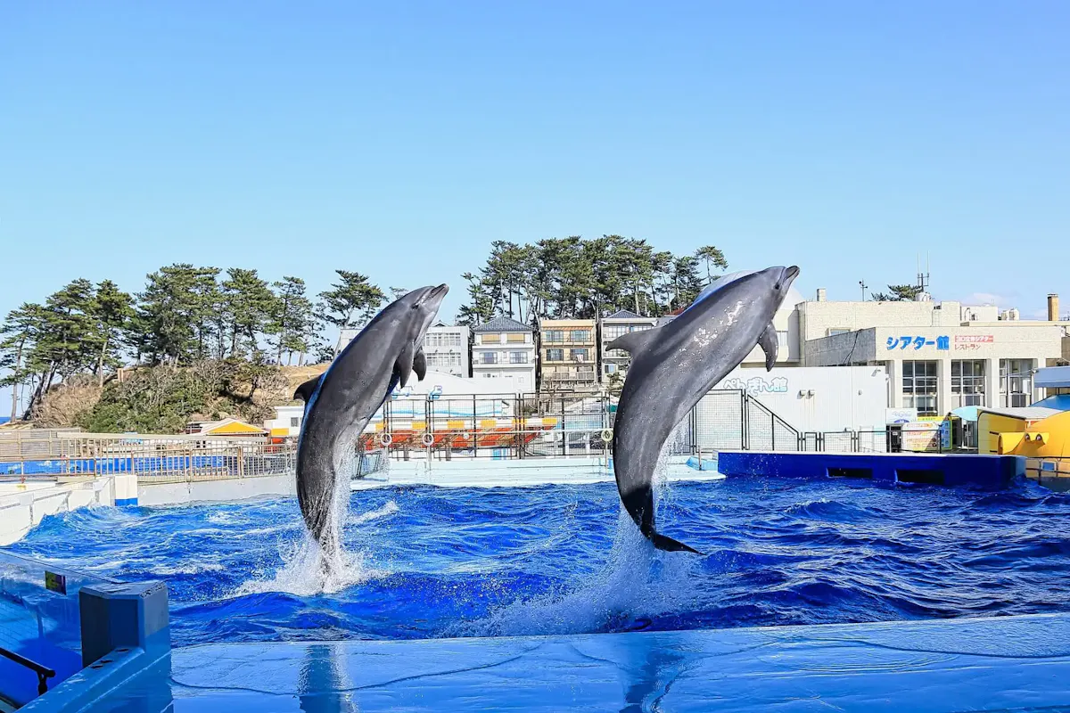 越前松島水族館（写真 2）