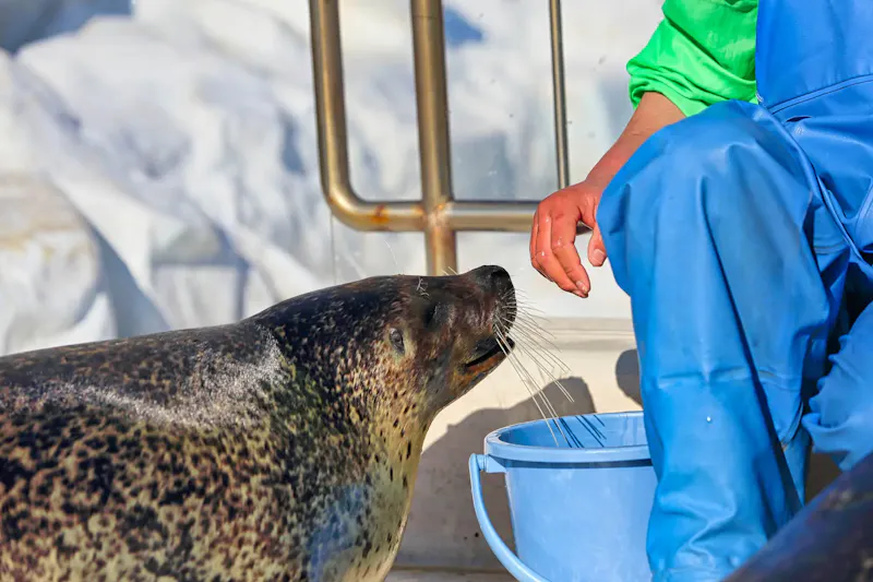 越前松島水族館