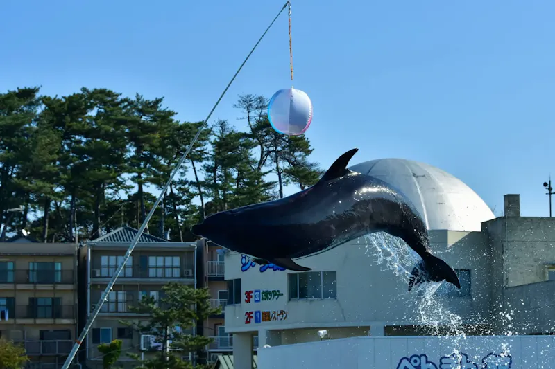 越前松島水族館