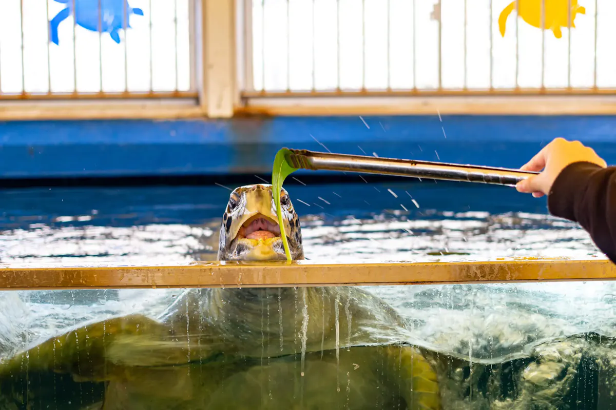 越前松島水族館（写真 4）
