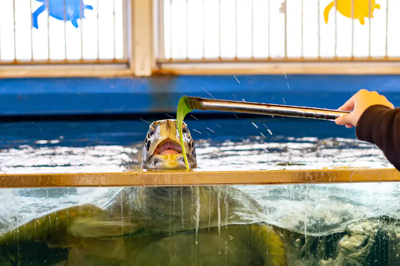 越前松島水族館