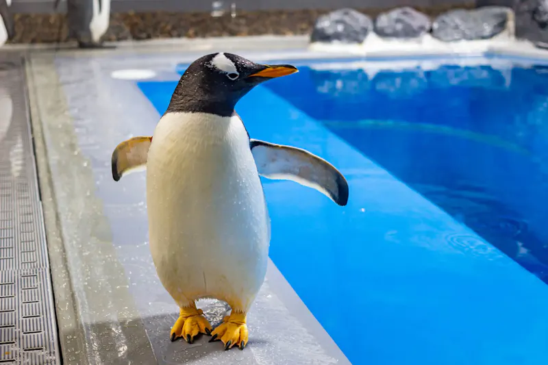 越前松島水族館
