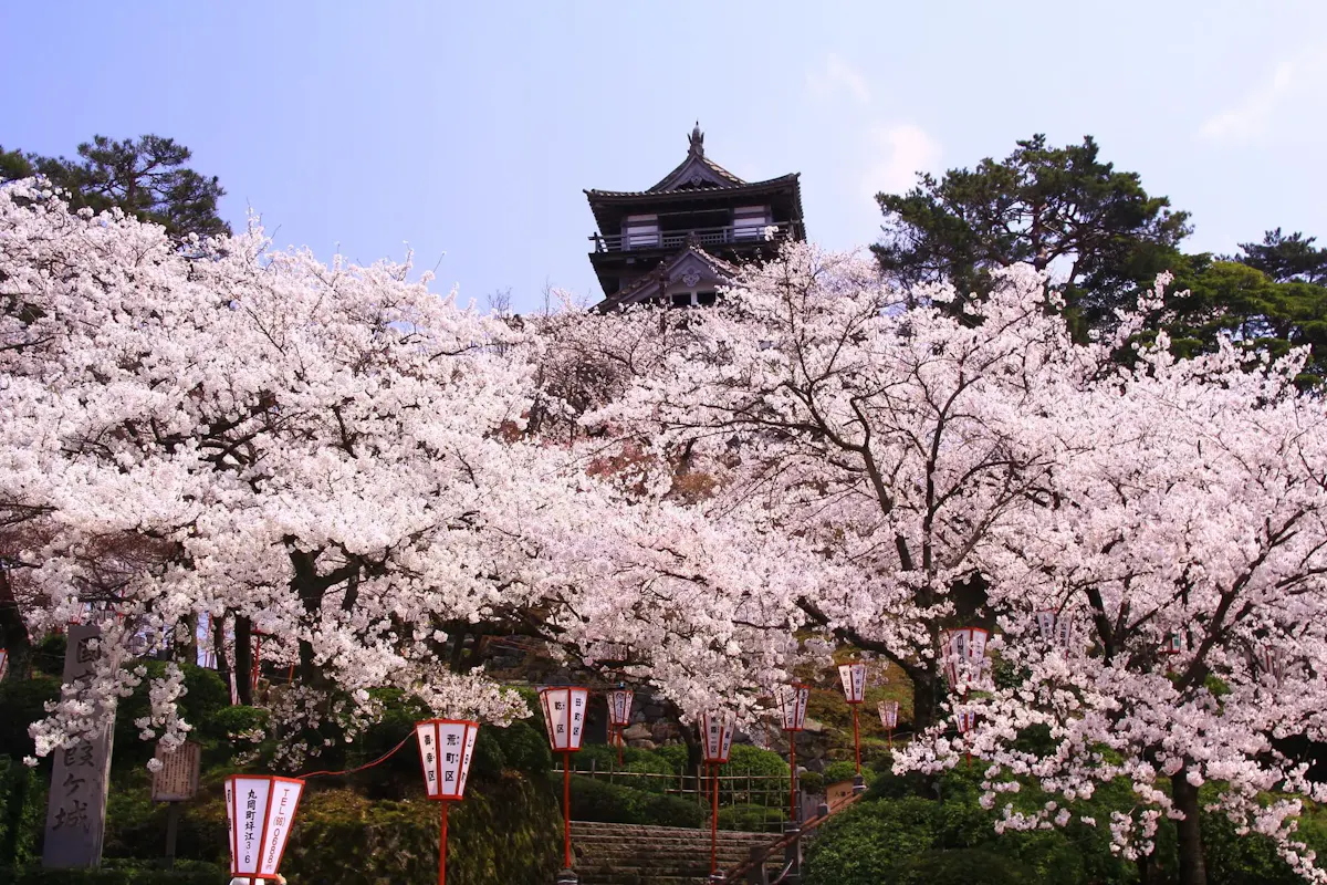 丸岡城（写真 5）