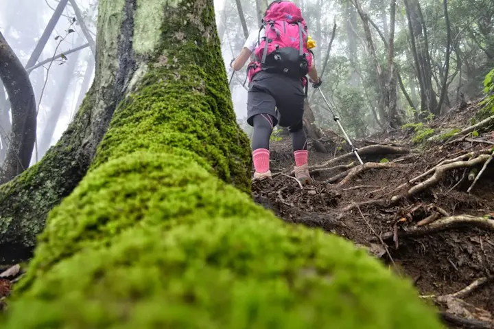 ハイキングに最適な山