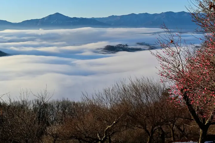 天気がいい日には美しい雲海が!