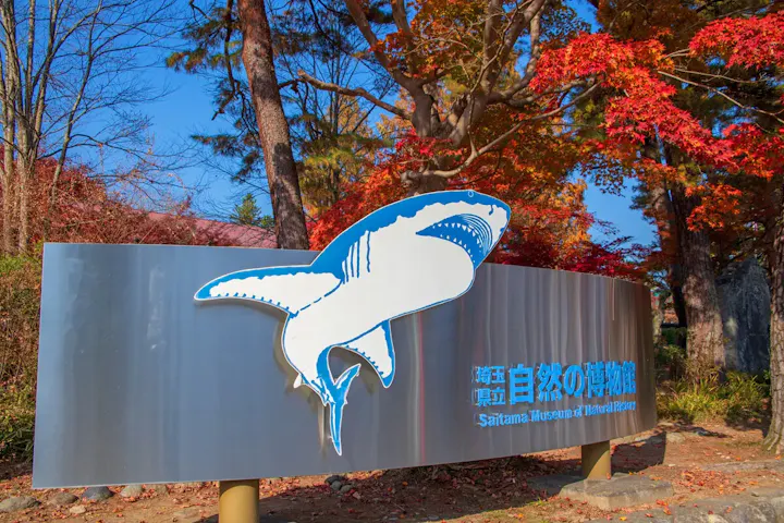 メガロドンが暮らしていた昔の長瀞