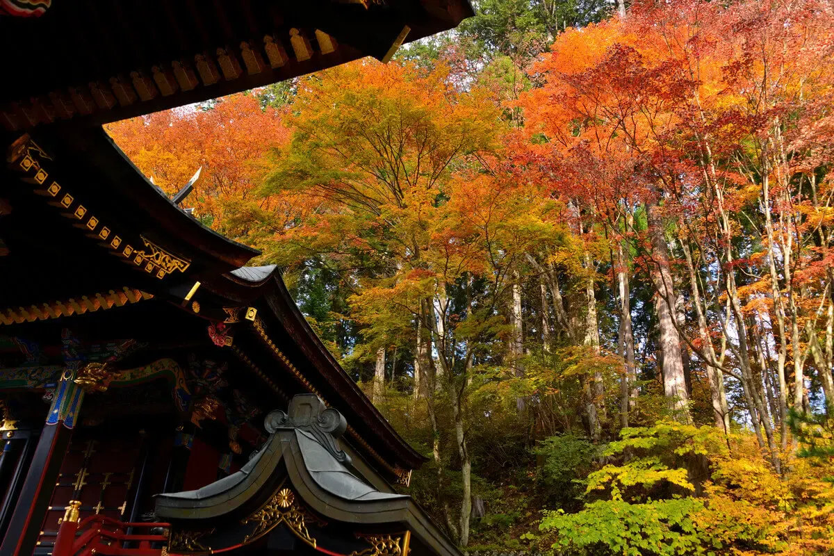 三峯神社（写真 6）