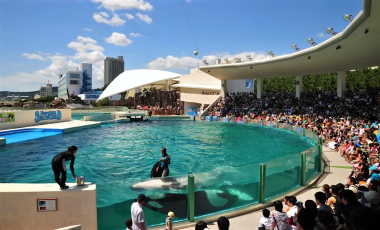 鴨川シーワールド