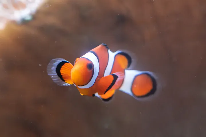 南国気分が味わえるトロピカルアイランド