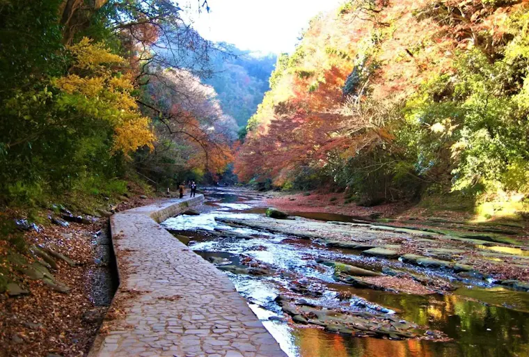 養老渓谷