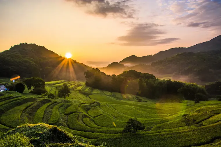 大山千枚田