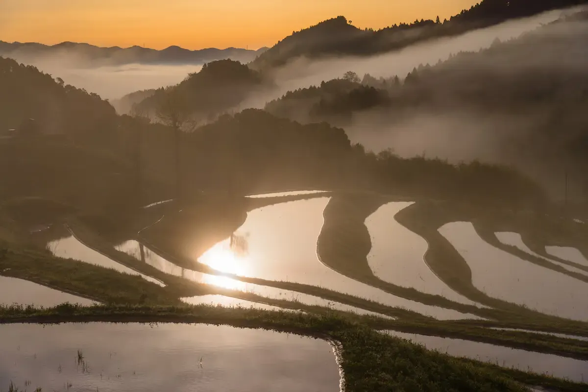大山千枚田(写真 2)