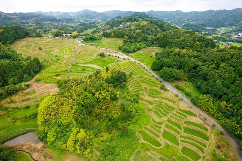 大山千枚田