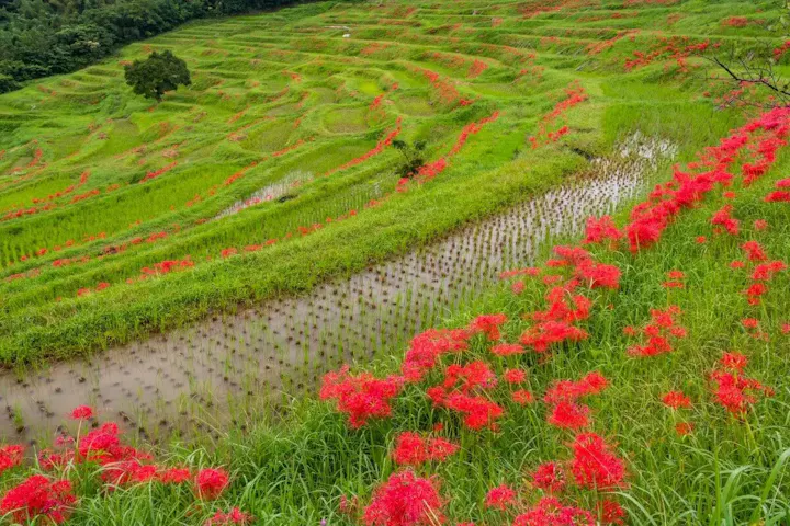 四季によって移り変わる壮大な景色