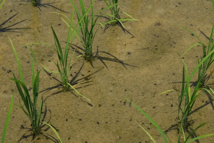 貴重な生き物達に出会える、動植物の宝庫！