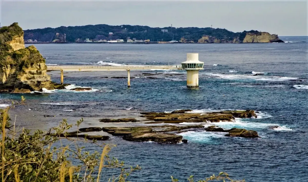 勝浦海中公園センター（写真 2）