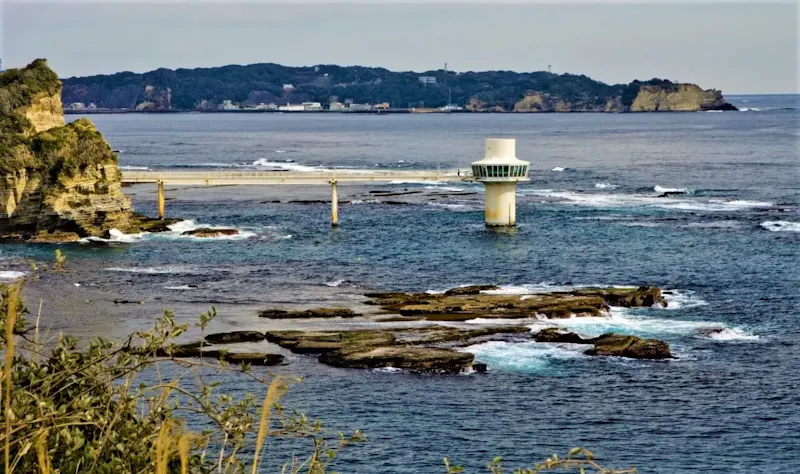 勝浦海中公園センター