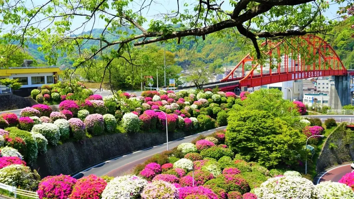音戸の瀬戸公園