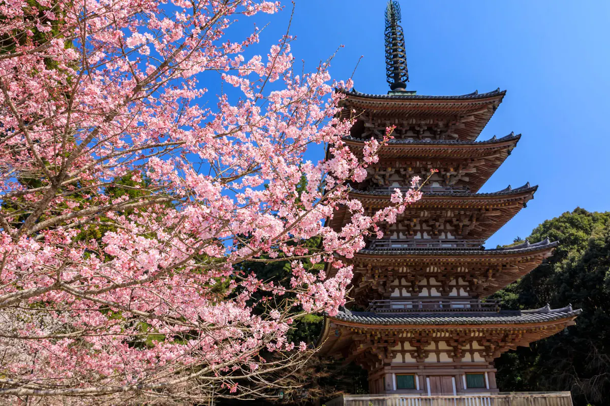 醍醐寺(写真 4)