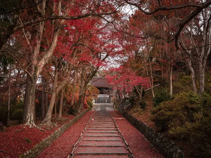 紅葉の名所！毘沙門堂跡で秋を満喫しよう
