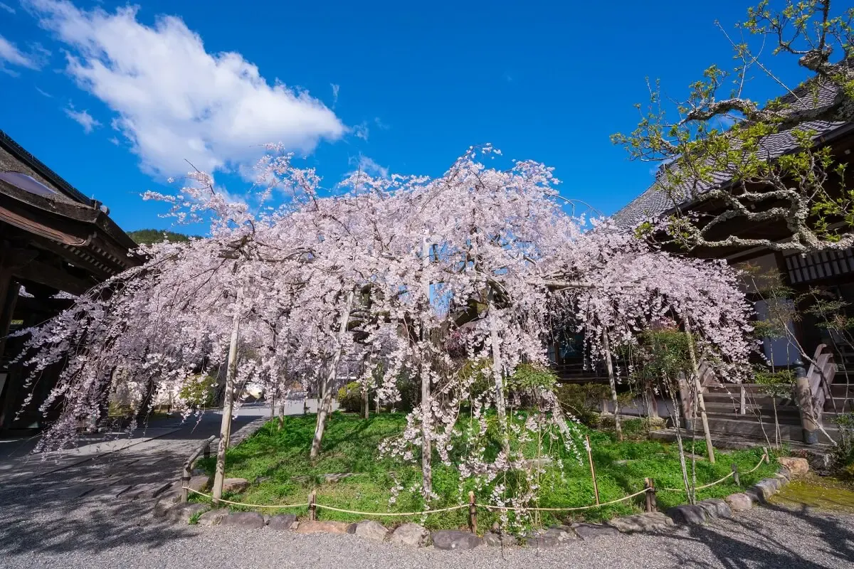 毘沙門堂跡（写真 4）