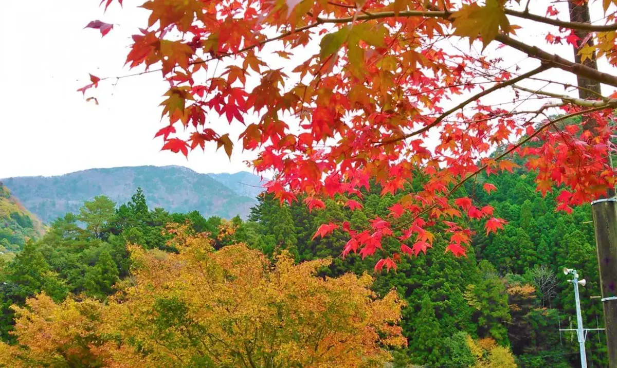 寸又峡温泉（写真 6）