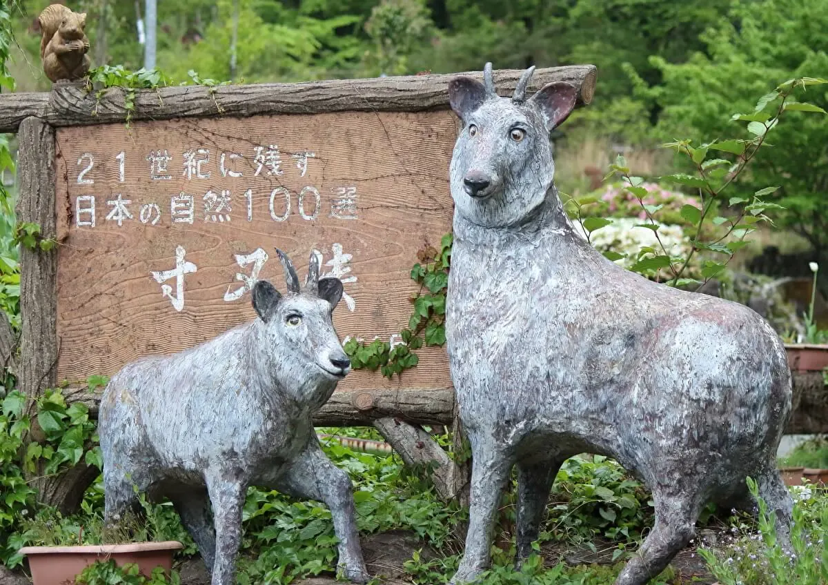 寸又峡温泉
