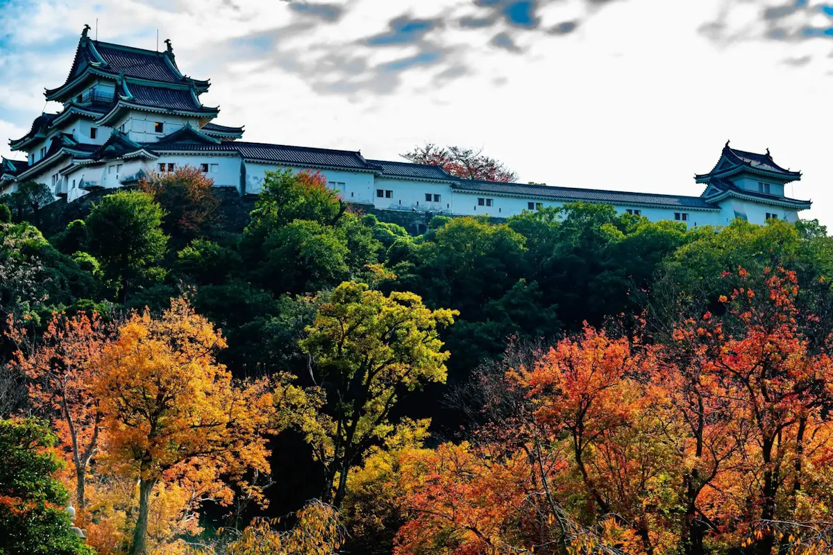 和歌山城(写真 3)