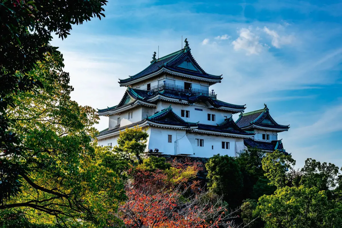 和歌山城(写真 4)