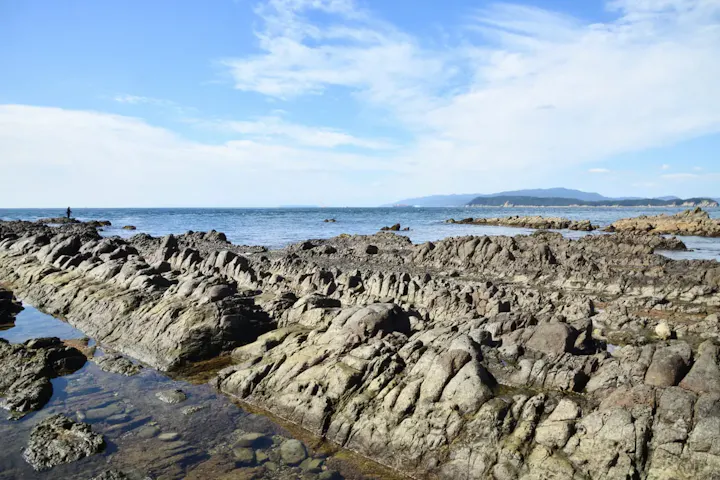 友ヶ島の秘境探検！虎島の歴史と自然を満喫