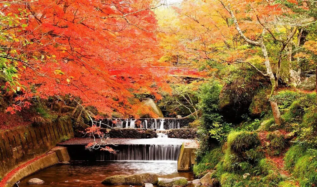 岩屋堂公園