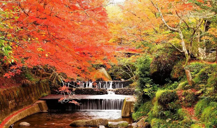 岩屋堂公園