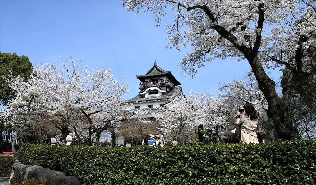 犬山城（写真 4）