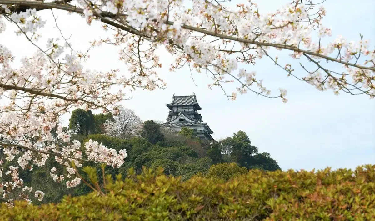 犬山城（写真 3）
