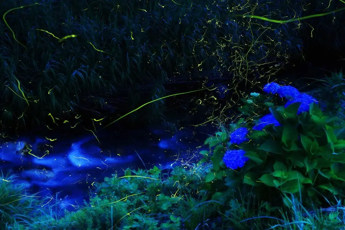 小野川温泉(写真 3)